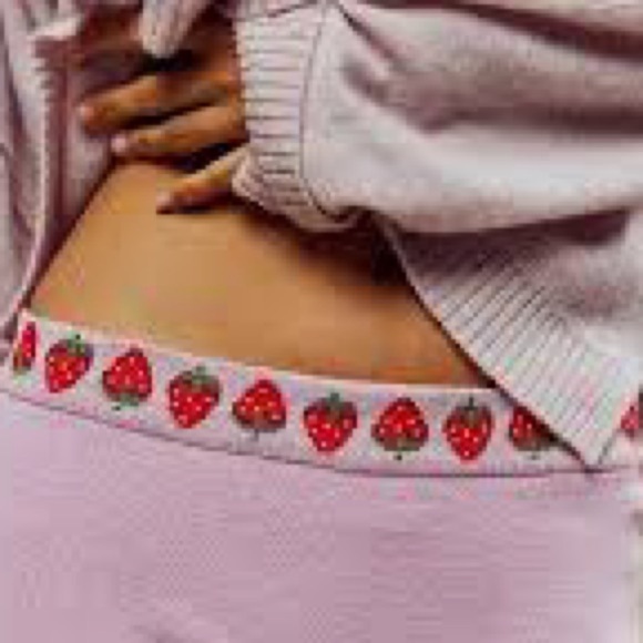 Free People Strawberry Embroidered Lilac Knit panty brief  size small - Picture 2 of 11
